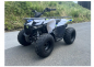 Preview: Kinder & Jugendquad Mikilon Hammer 125cc